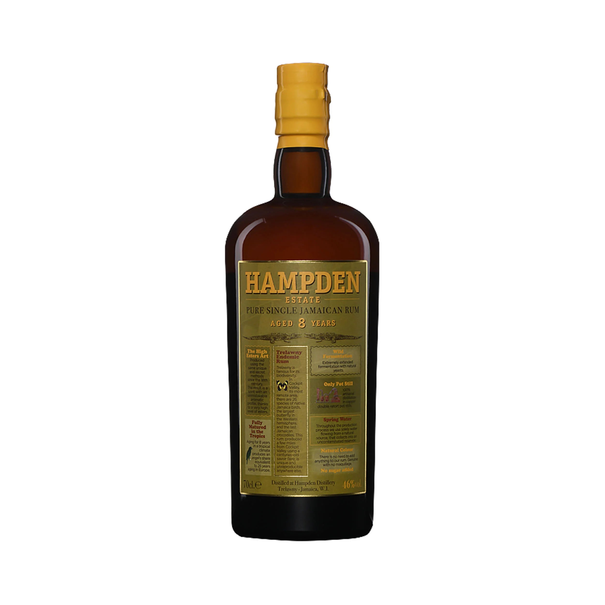 FRAGMENT 3cl - HAMPDEN 8 ANS